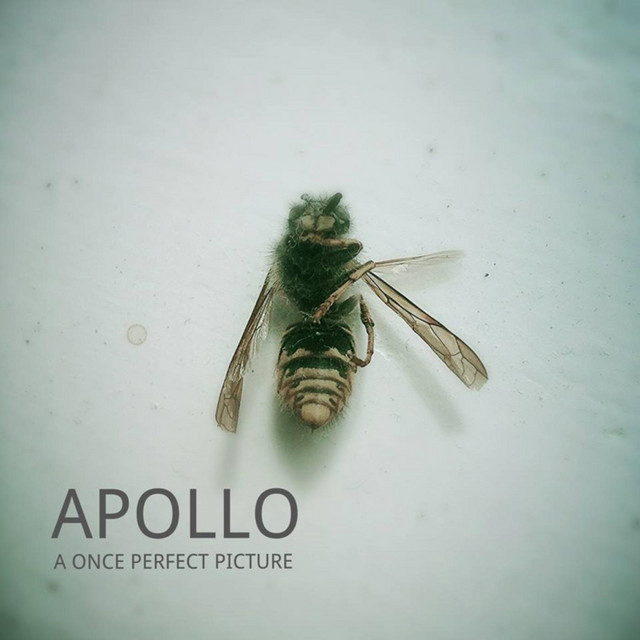 A Once Perfect Picture cover art