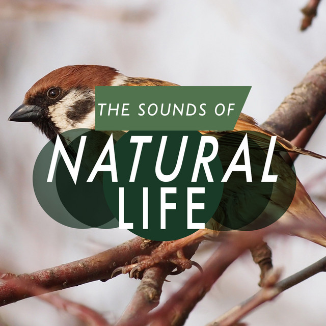 The Sounds of Natural Life cover art