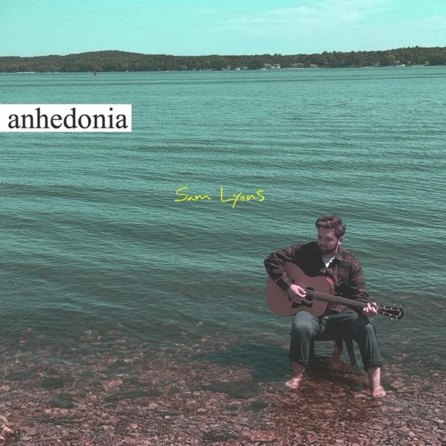 anhedonia cover