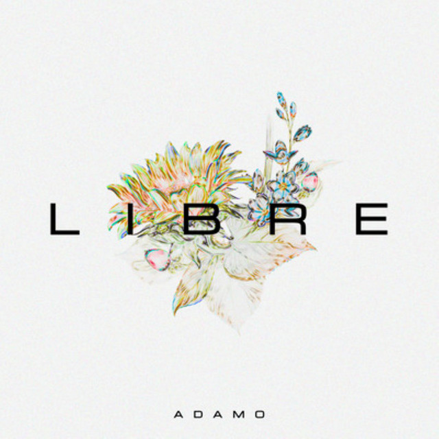 Libre