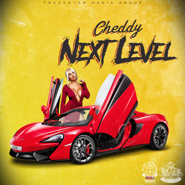Next Level cover art
