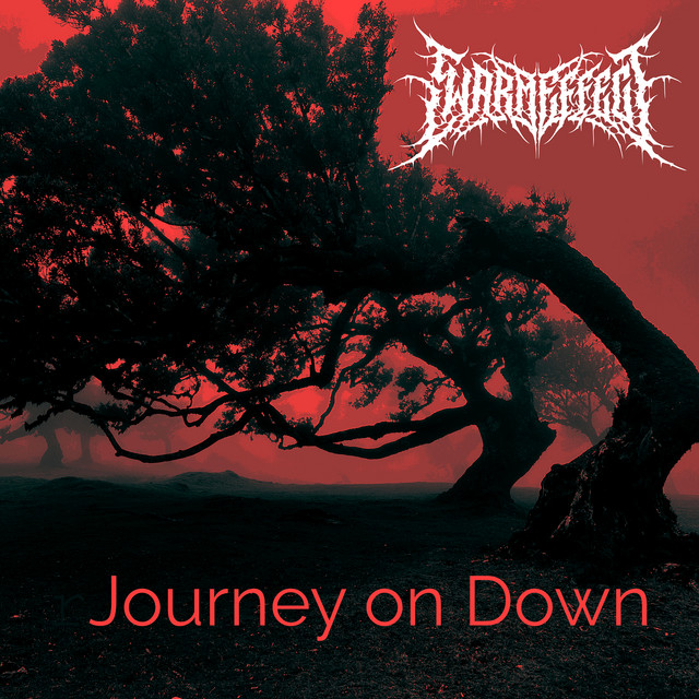 Cover art: Journey on Down — Swarm Effect