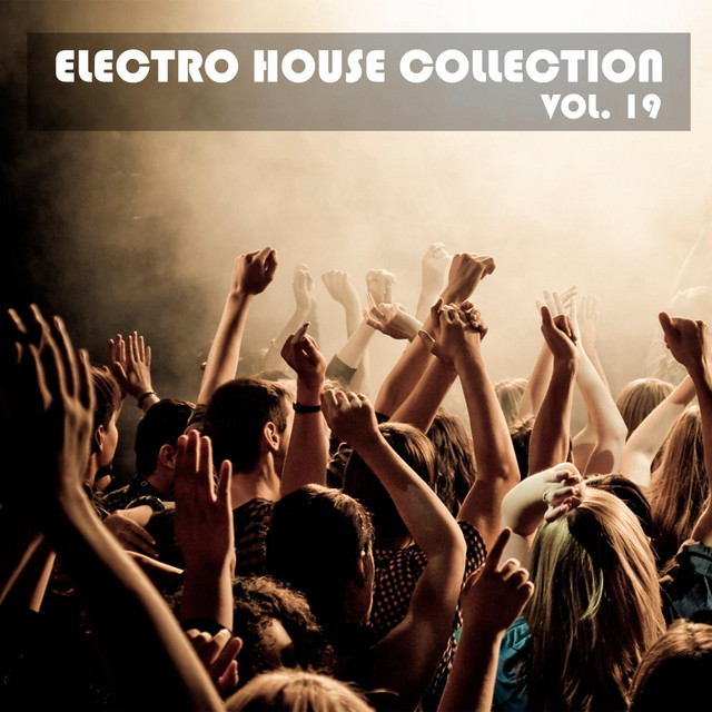 Electro House Collection, Vol. 19 cover art