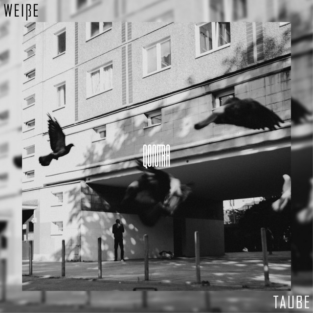 Weiße Taube cover art