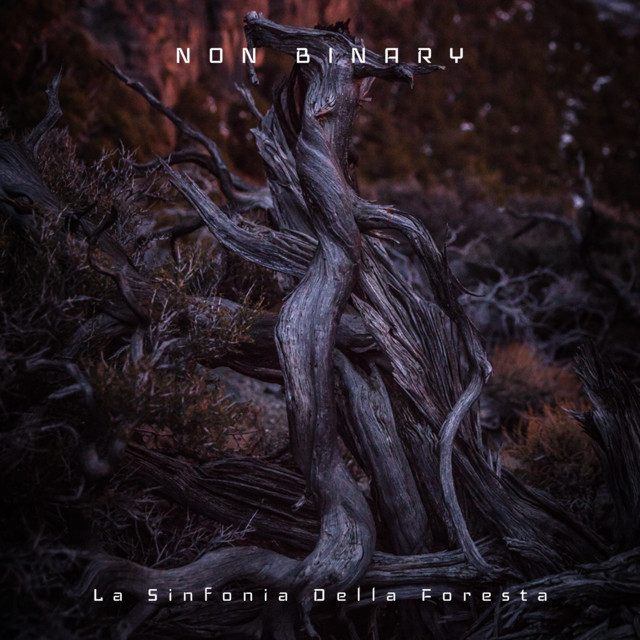 La Sinfonia Della Foresta cover art