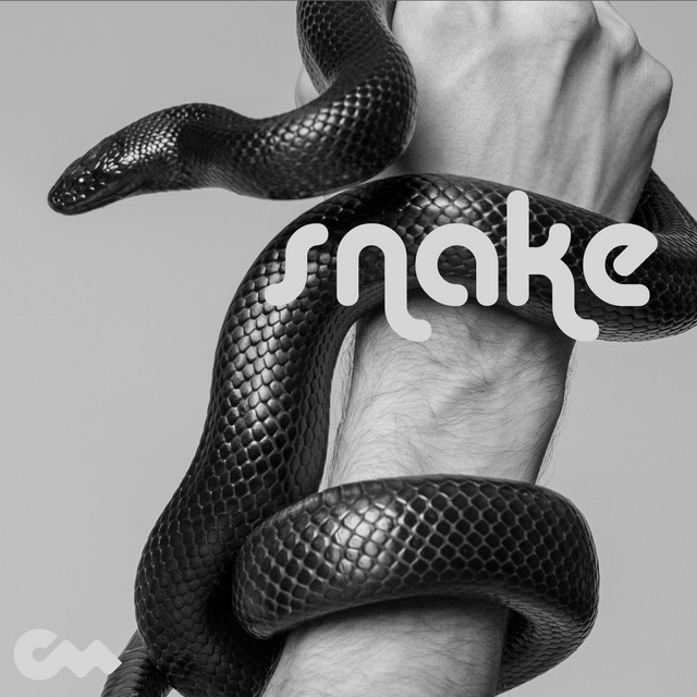 Snake - Single by Moushoo | Spotify