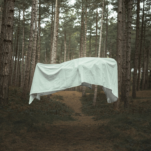 When Silence Forgets Itself (single)