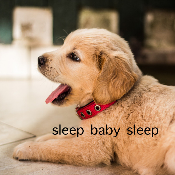 Sleep Baby Sleep cover art