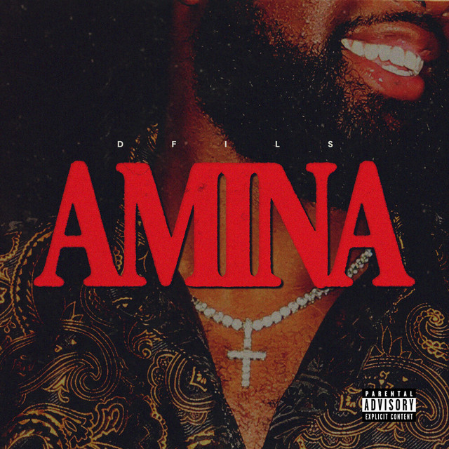 AMINA