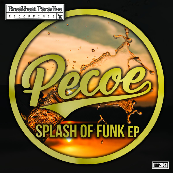 Funk For The Renegade Master album art