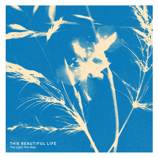This Beautiful Life cover