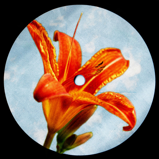 This Fire - Extended Mix album art