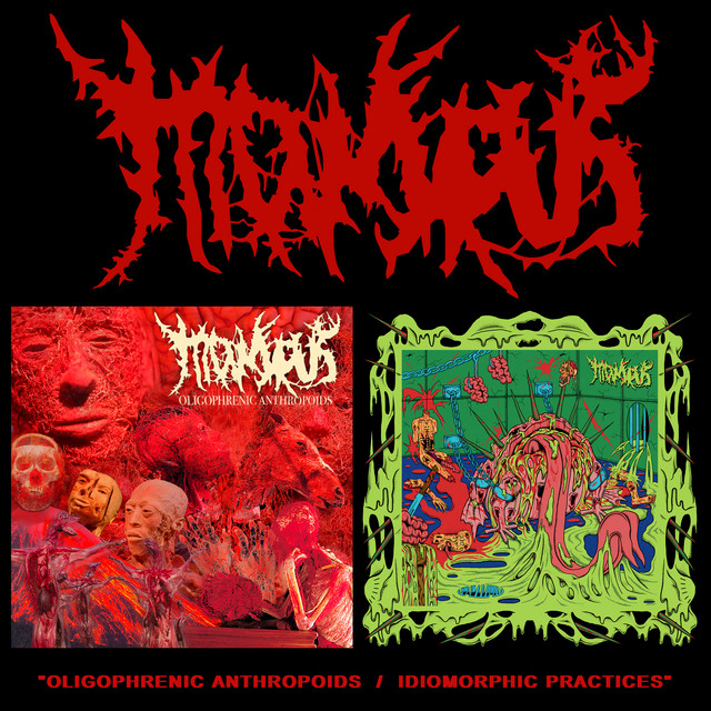 Oligophrenic Anthropoids - Idiomorphic Practices cover art