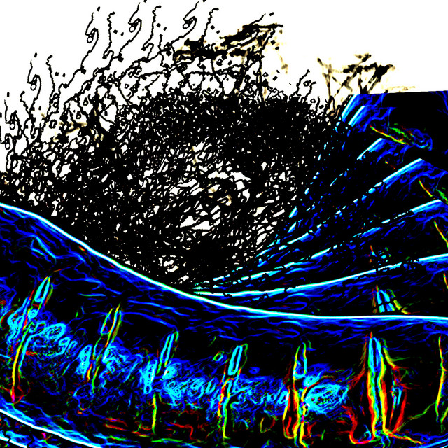 Fractal Degeneration (Anti-Construct) cover art