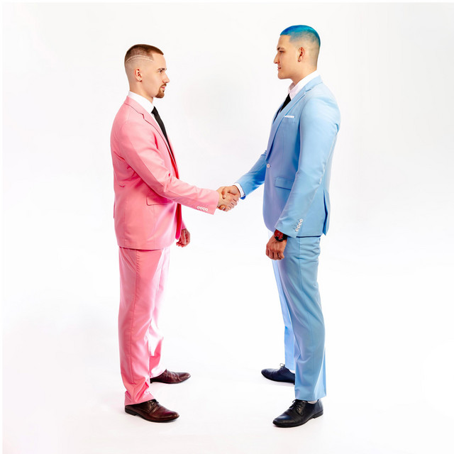 Styl zawodowy cover art