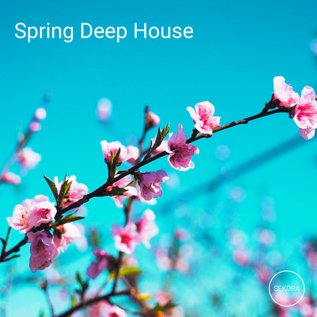 Spring Deep House (DJ Mix) - Compilation by Sekora | Spotify