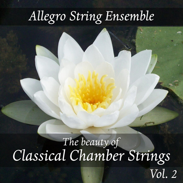 The Beauty of Classical Chamber Strings, Vol. 2 cover art
