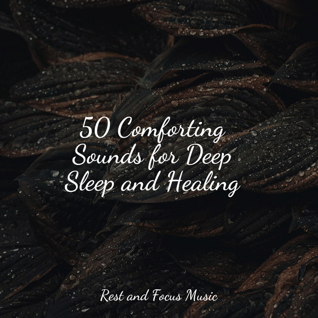 50 Comforting Sounds for Deep Sleep and Healing - Album by Best Kids ...