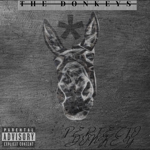 Perfecto - Single by The Donkeys | Spotify