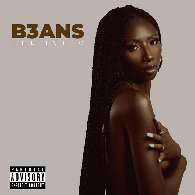 The Intro cover art