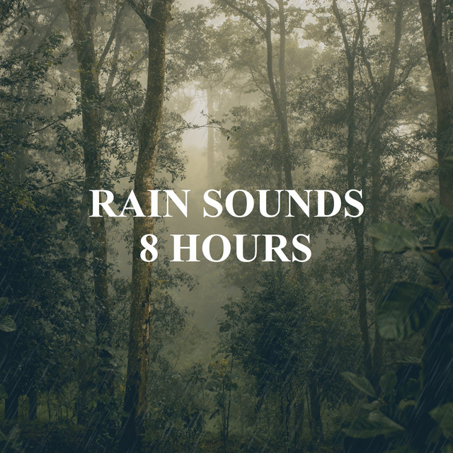 Rain Fell Within Photo