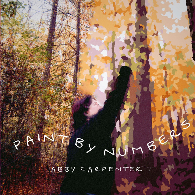 Paint by Numbers cover art