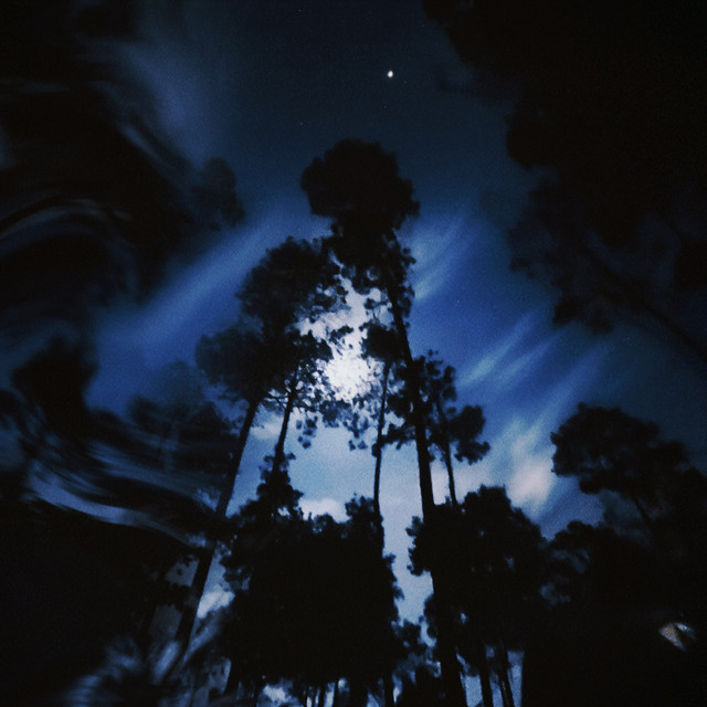 sorry cover art