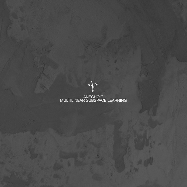 Mulitlinear Subspace Learning cover art