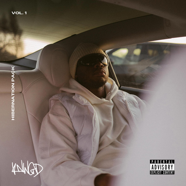 Hibernation Pack cover art