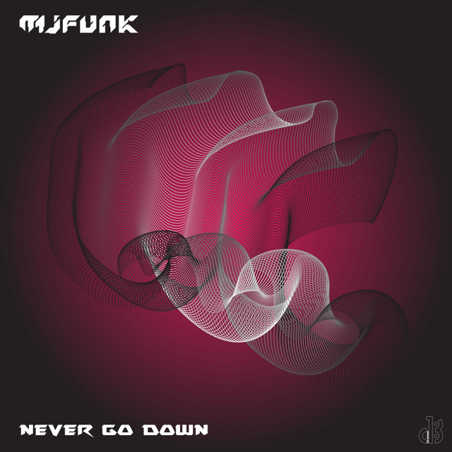 Never Go Down cover art