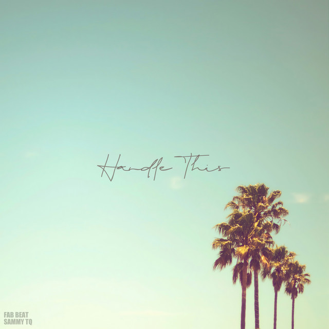 Handle This cover