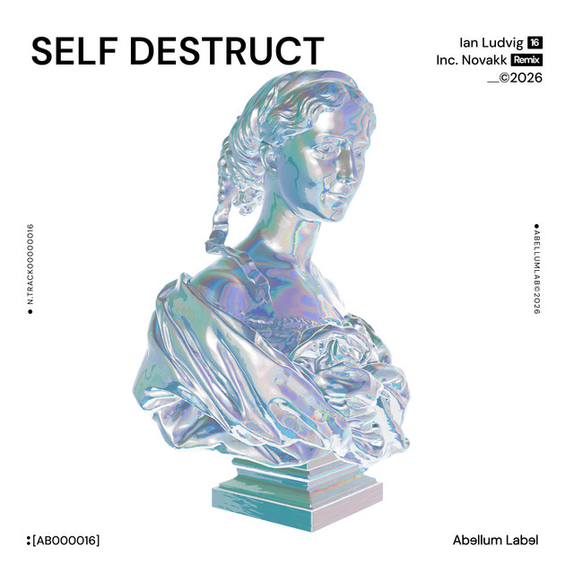 Self Destruct album art