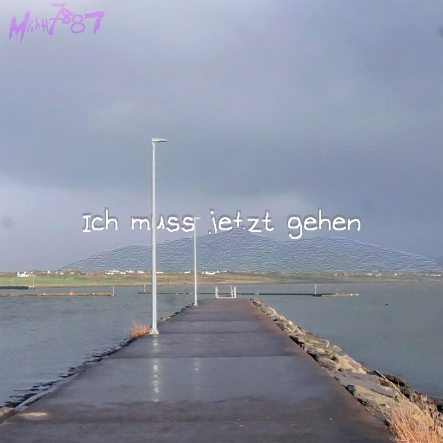 Ich muss jetzt gehen cover art