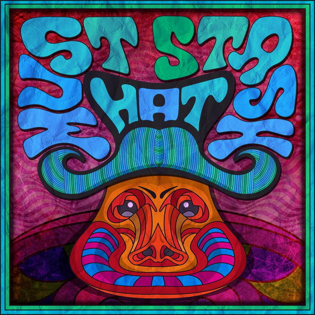 Must Stash Hat cover