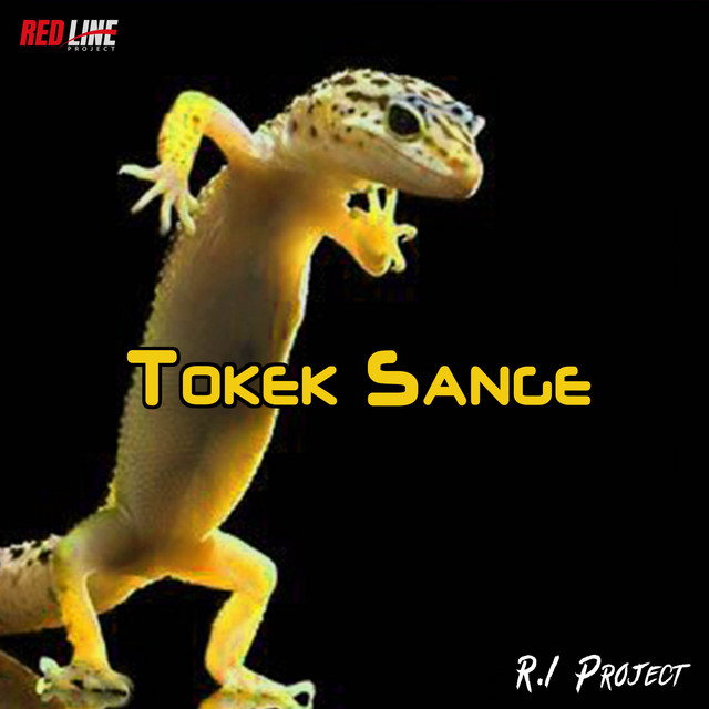 DJ Tokek Sange cover art