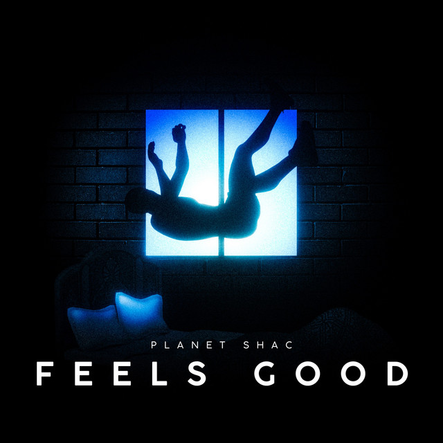 Feels Good - Single by Planet Shac | Spotify