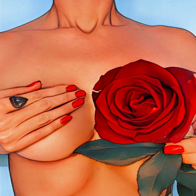 Rosa do Coração