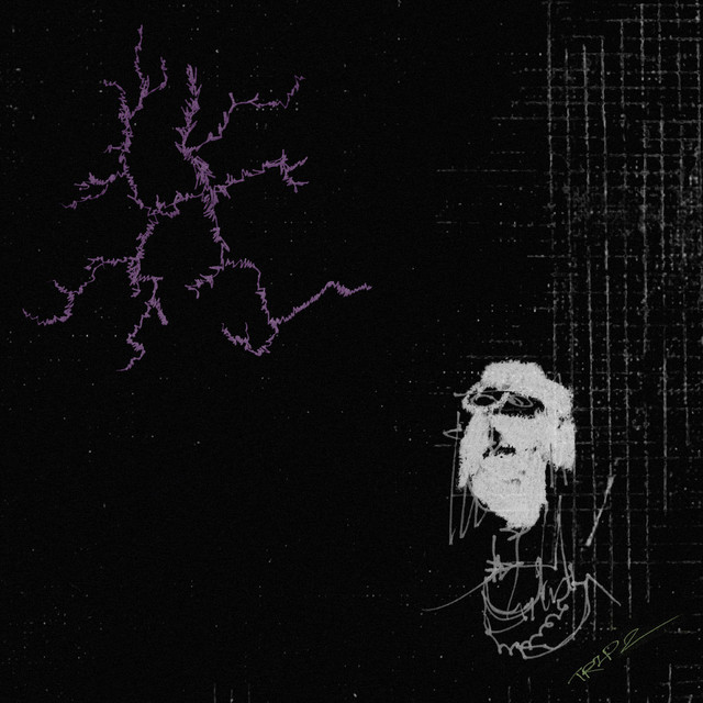 Trip 2 cover art