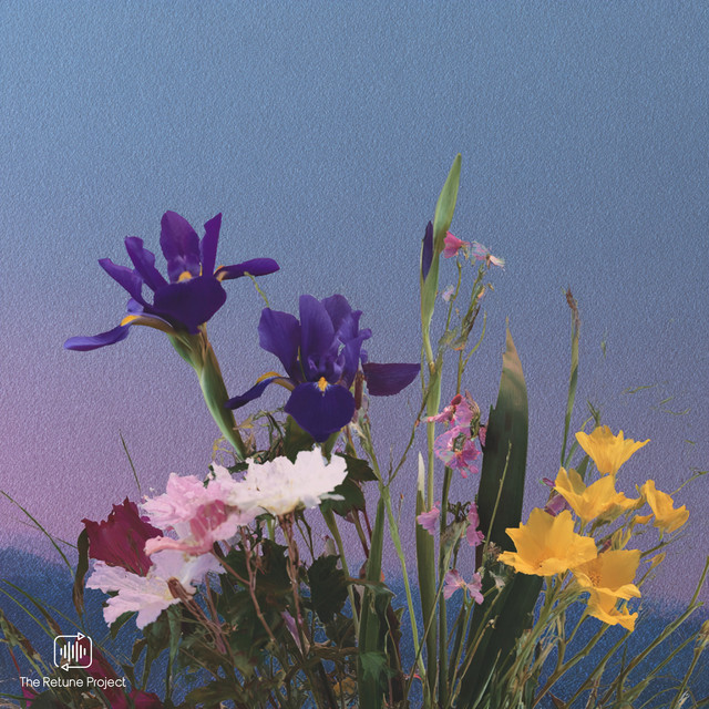 flowers album image