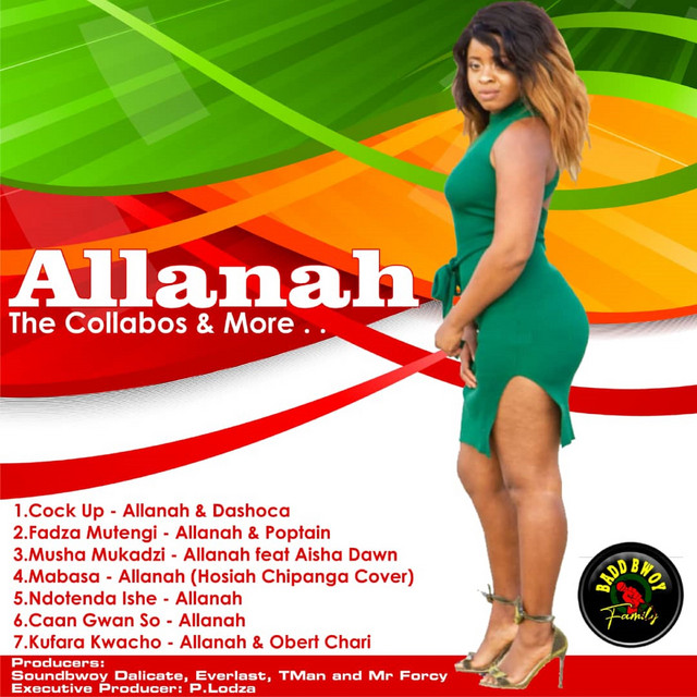 The Collabos & More cover art