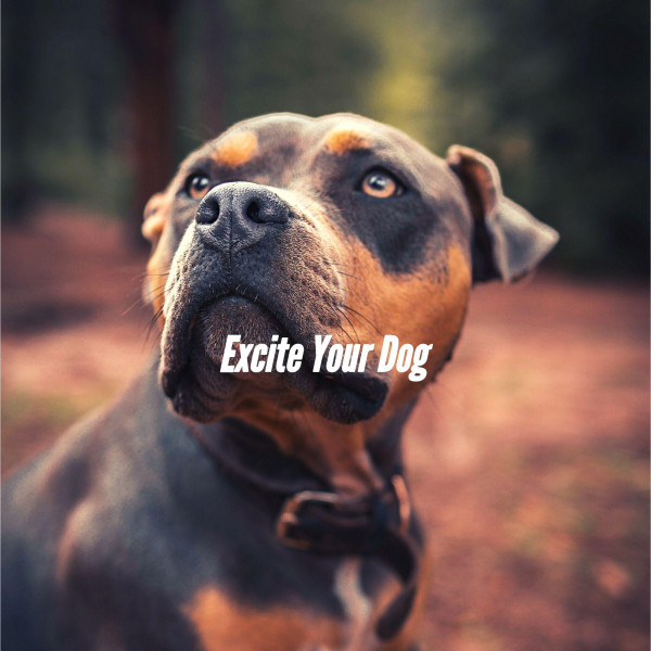 Excite Your Dog cover art