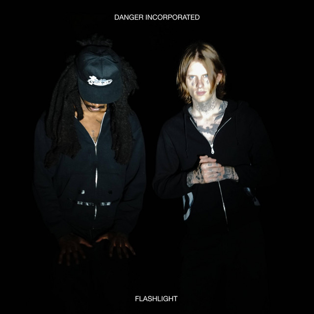 Flashlight cover art