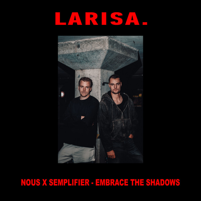 EMBRACE THE SHADOWS cover art