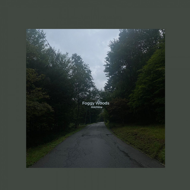 Foggy Woods cover art