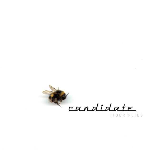 Tiger Flies cover art