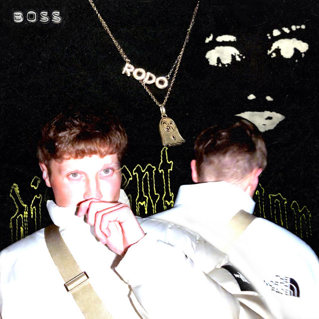 Boss cover