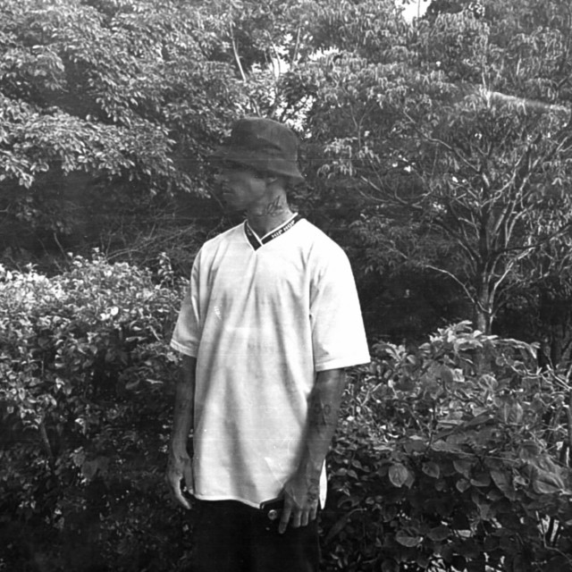 The Dilo | Spotify