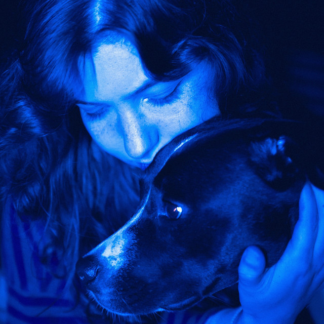 Watchdog cover art