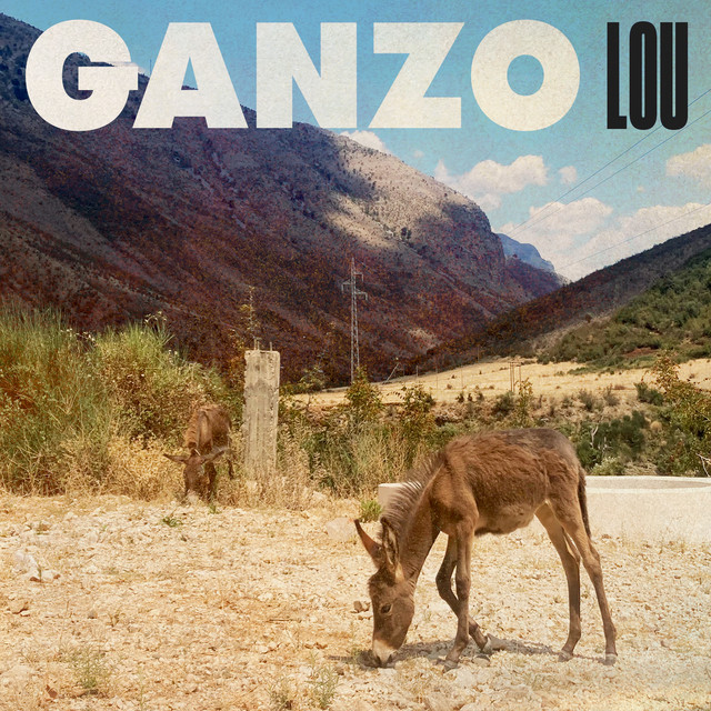 Lou cover