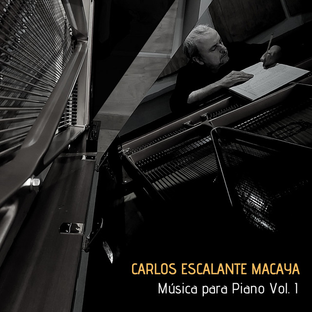 Música para Piano, Vol. 1 cover art